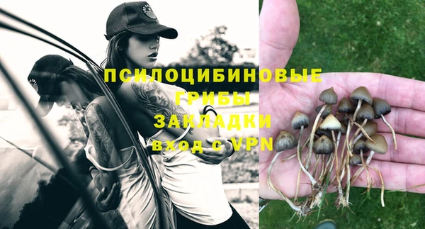 apvp Бронницы