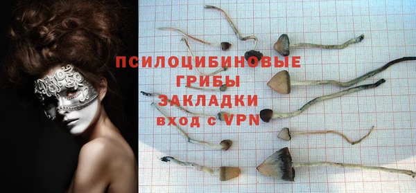 apvp Бронницы