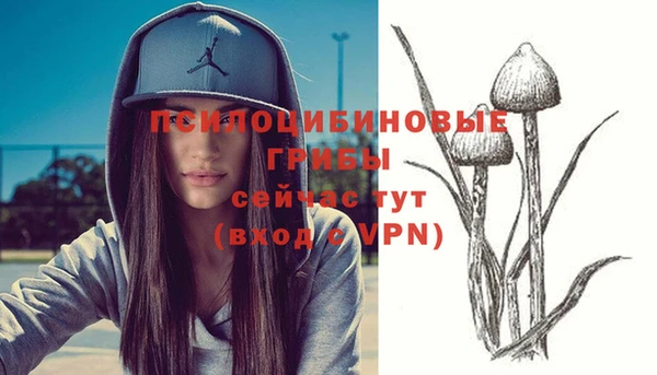 apvp Бронницы