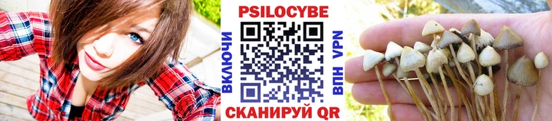 Псилоцибиновые грибы Magic Shrooms  Долгопрудный 