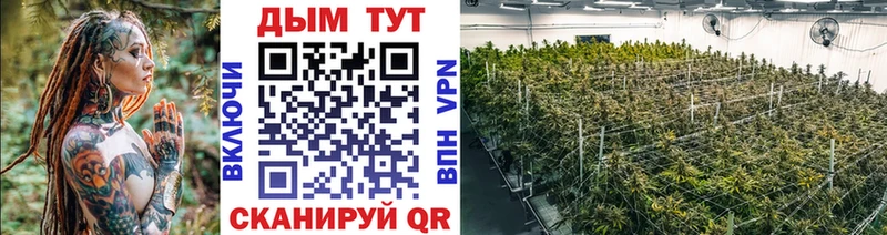 Бошки марихуана OG Kush Долгопрудный
